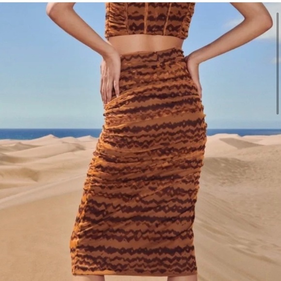 NEW Zara ruched tulle skirt - Picture 4 of 9